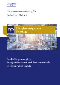 Whitepaper Energie